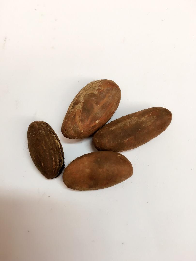 BITTERKOLA..... (4 UNIDADES)