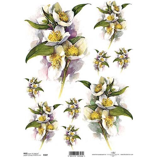 Papel de arroz R0387