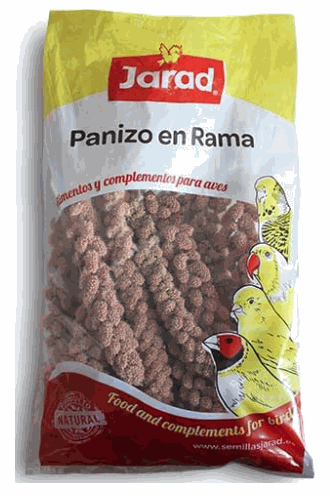 Jarad Panizo Mijo en Rama Extra Amarillo