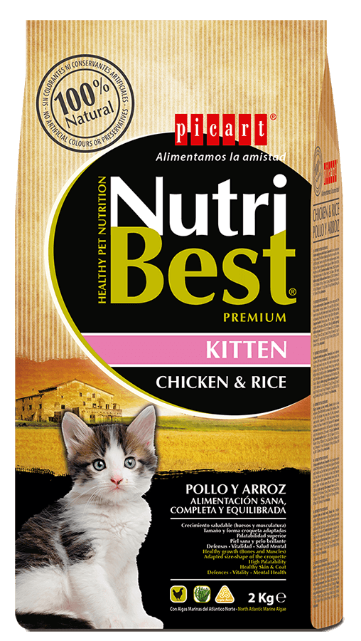 Picart nutribest gato kitten pollo y arroz